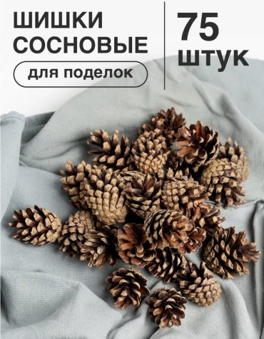 Шишки сосновые 75 шт