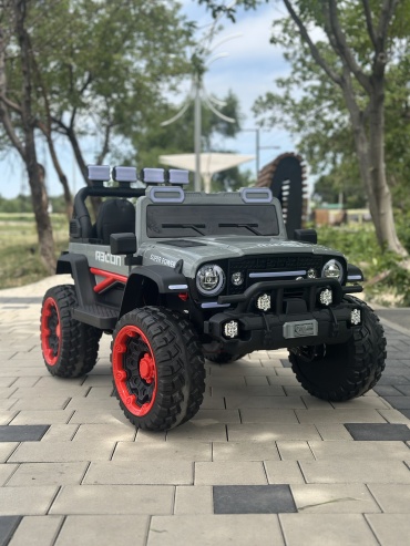 AmiVi JR07 серый