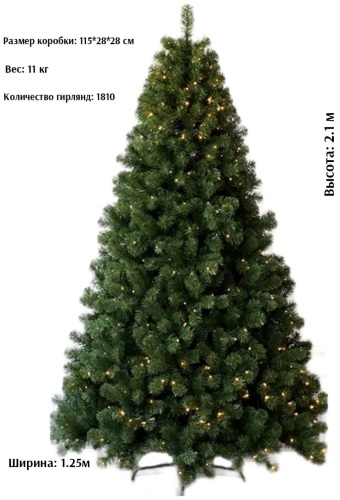 Ель
