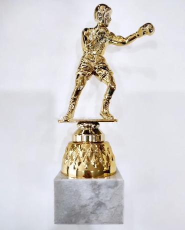 Golden Cup трофей Бокс стандарт