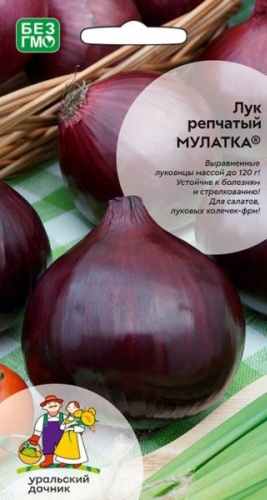 Уральский дачник лук Мулатка репчатый