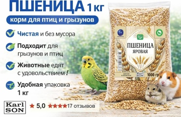 Karl SON Пшеница яровая 1 кг