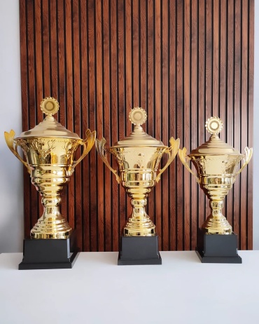 Golden Cup кубок Комплект "Казахстан"