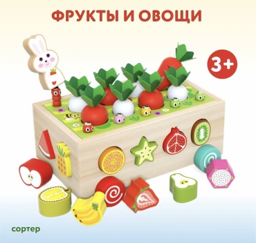 Сортер Развивайка