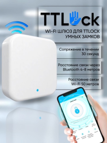 TT LOCK электронный G2