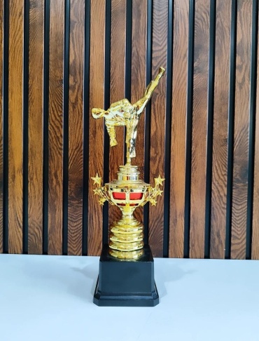 Golden Cup трофей "Карате Стойка" звездочки