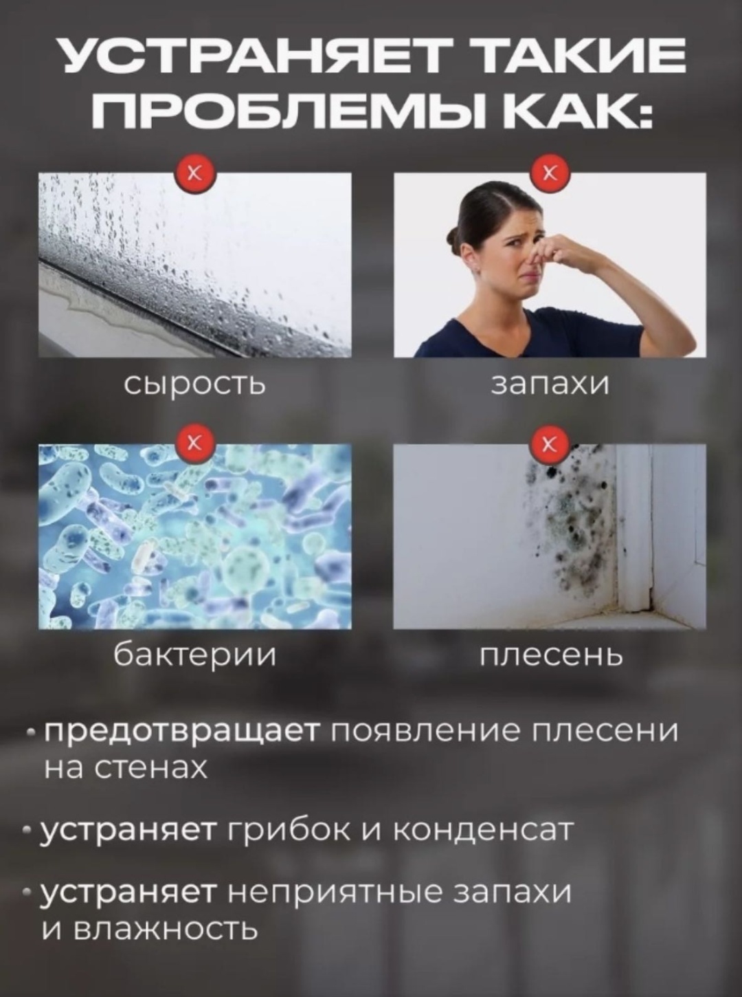 Осушитель воздуха YANGZI CS10E черный