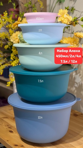 Tupperware набор контейнеров Алоха, полипропилен