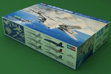 F/Q-18E Super Hornet
