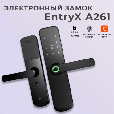 Entryx электронный A261
