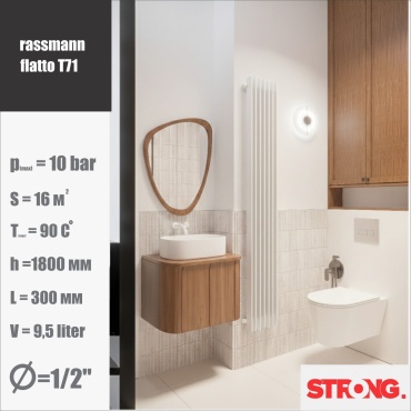 Rassmann трубчатый 11020-71-1645 стальной 300х1800 мм