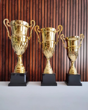 Golden Cup кубок Комплект "Арго"