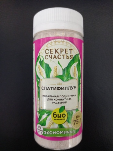 Секрет счастья Спатифиллум