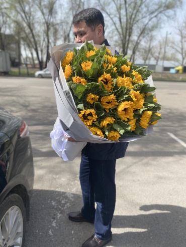 Подсолнухи Семечка