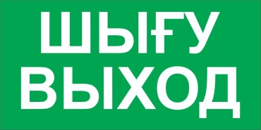 Табличка Шығу Выход 30x15 см