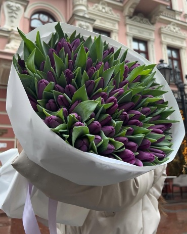 Тюльпан
