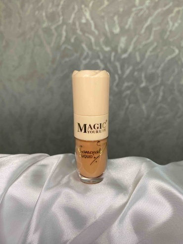 Magic 2778 корректор 05