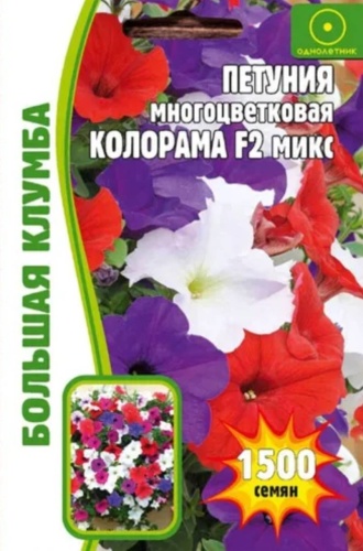 Григорьев петуния Многоцветковая