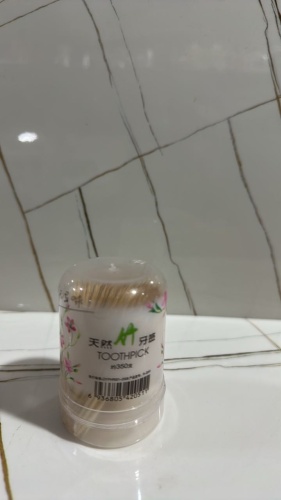 Зубочистки Toothpick R-2051 100 шт
