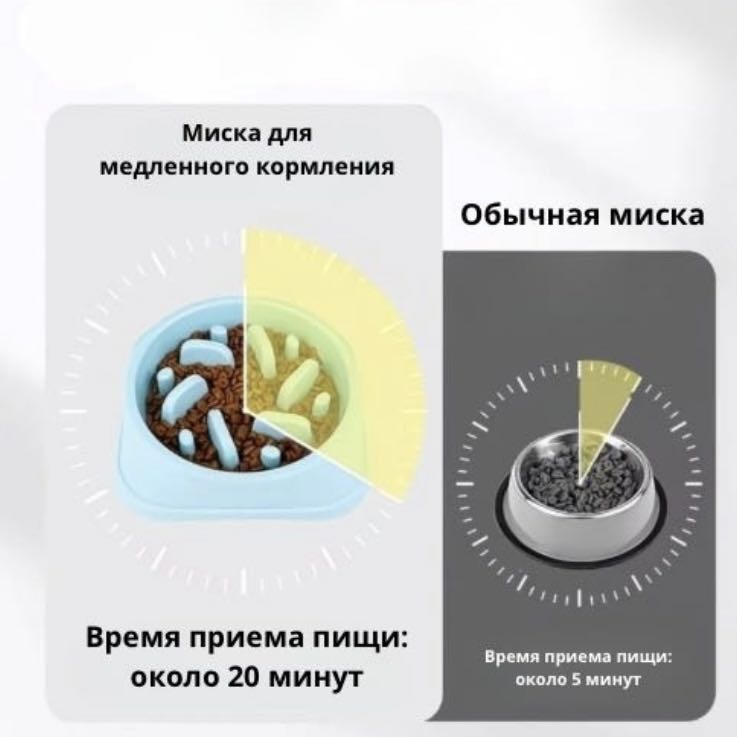 Миска