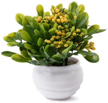Цветок Blumentag петуния 12.5 см, ATF-01