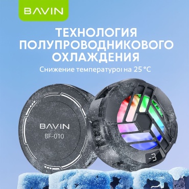 BAVIN BF черный