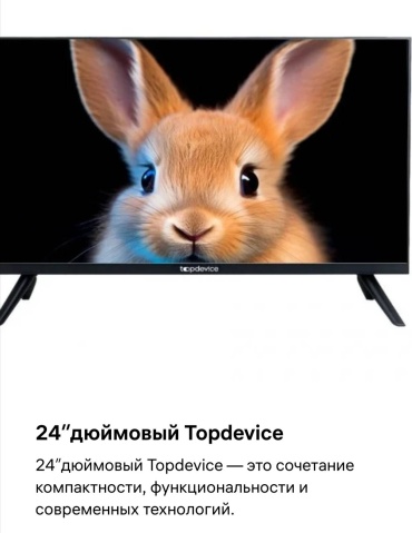 Телевизор TopDevice TDTV24ES13H_BK 61 см черный