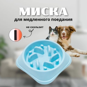Миска