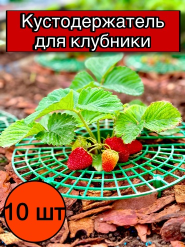 Кустодержатель 753963828, пластик