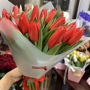 Букет из 25 тюльпанов