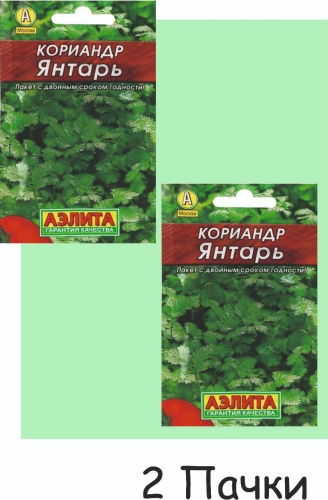 Аэлита кориандр Янтарь