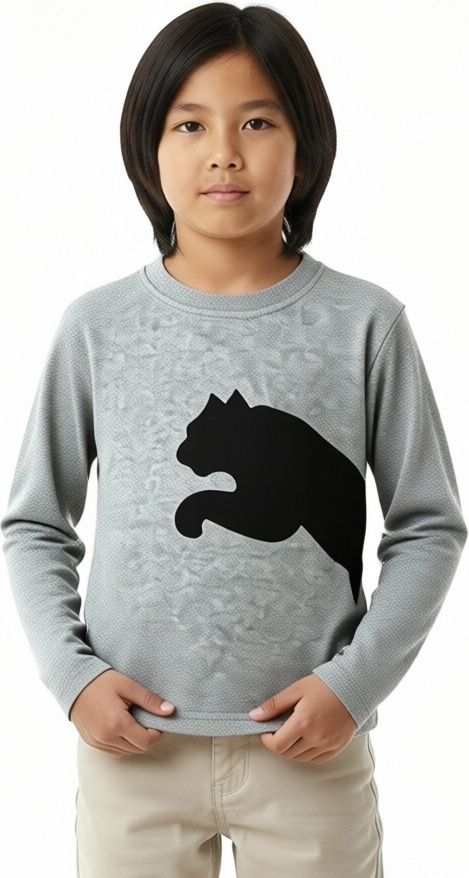 Лонгслив принт: HIDE and SQUEAK серый