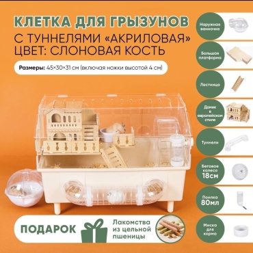 Клетка
