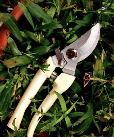 Секатор 17,5 cm