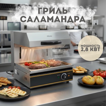 Гриль MOZZY ZH-450LS серебристый