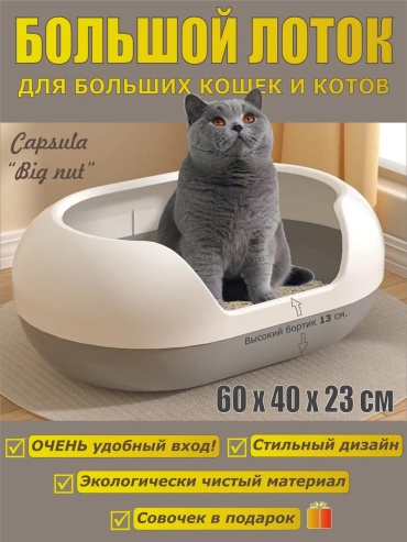 Лоток с бортиком серый