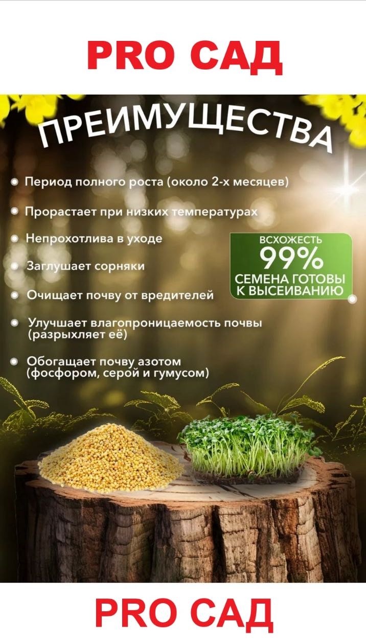 Горчица 5000 г