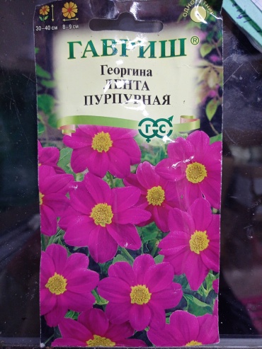 Гавриш георгина Лента Пурпурная