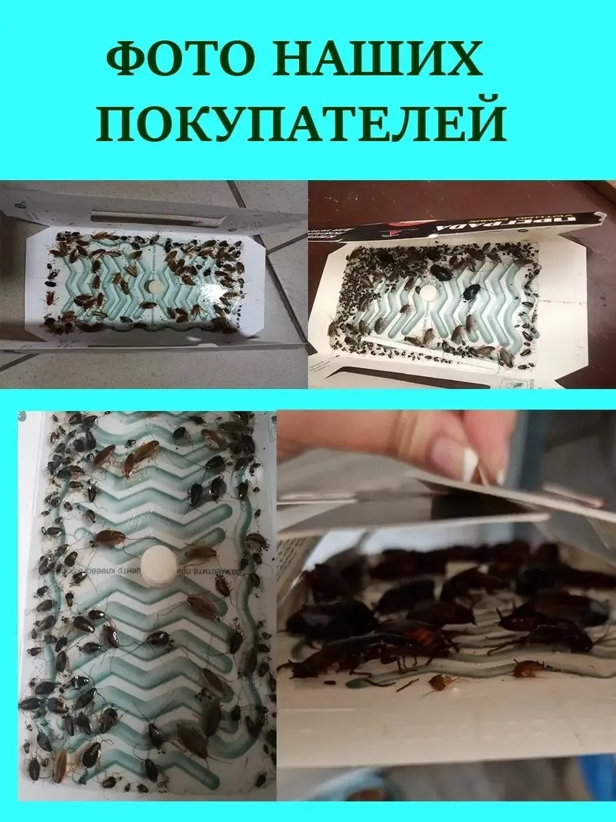 Ловушка 90079359