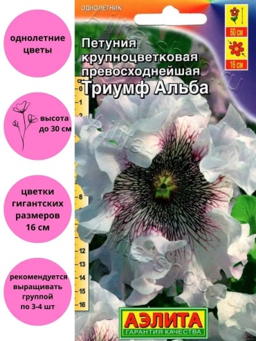 Аэлита петуния Триумф альба