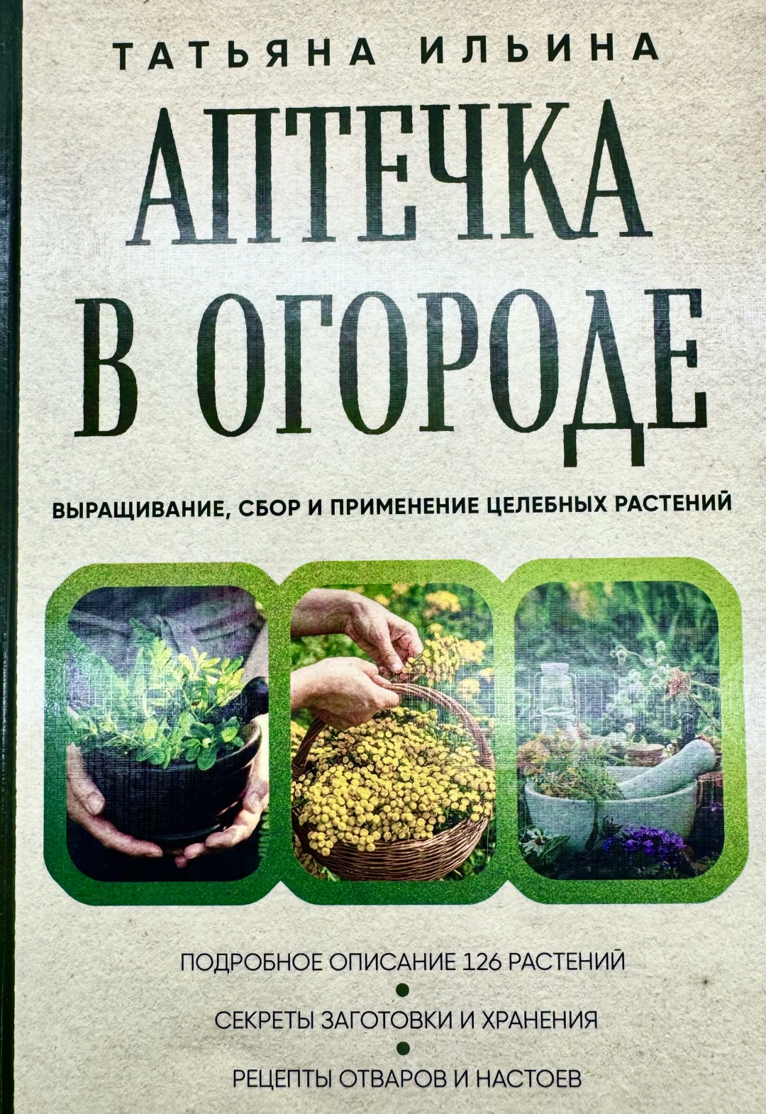 Книга Ильина Т.: Аптечка в огороде
