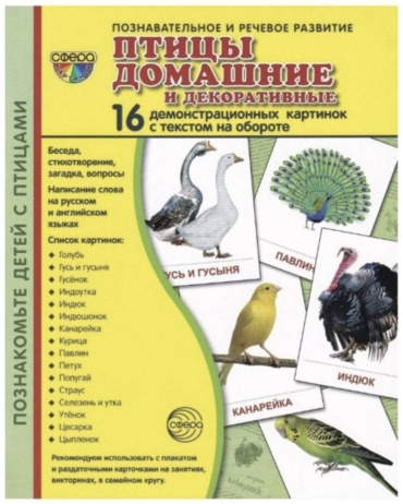 Обучающие карточки Птицы, А5, картон