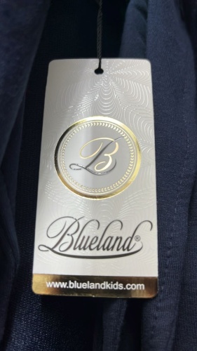 Школьный пиджак Blueland синий
