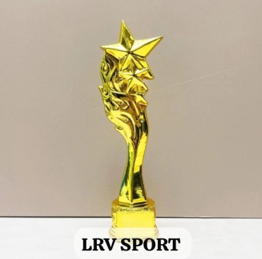 Кубок LRV SPORT ЗВЕЗДА