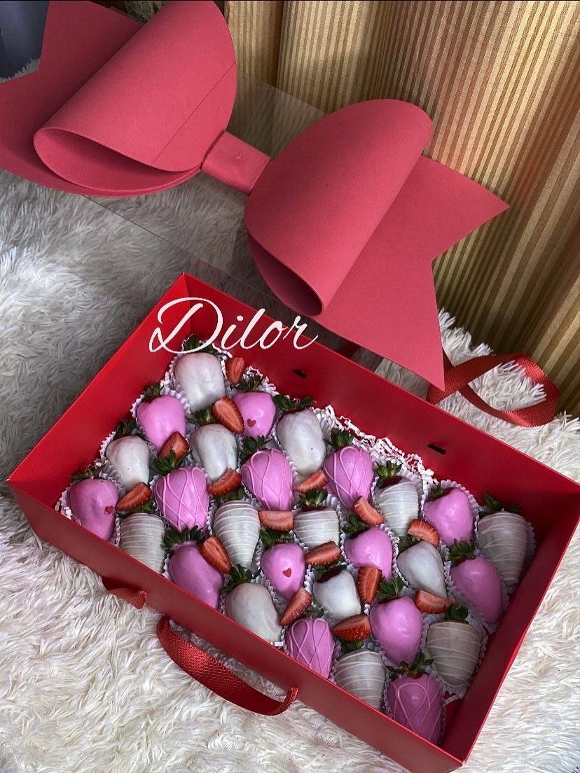 DR DILOR DR0009 35*21