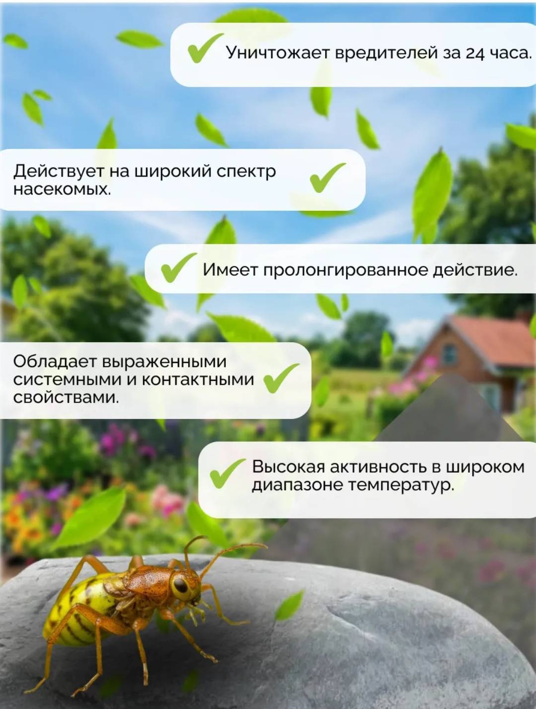 АВГУСТ инсектицид Пиноцид от вредителейна хвойниках 2мл 2