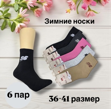 Носки SPEED WIN 6 пар мультиколор 36-41