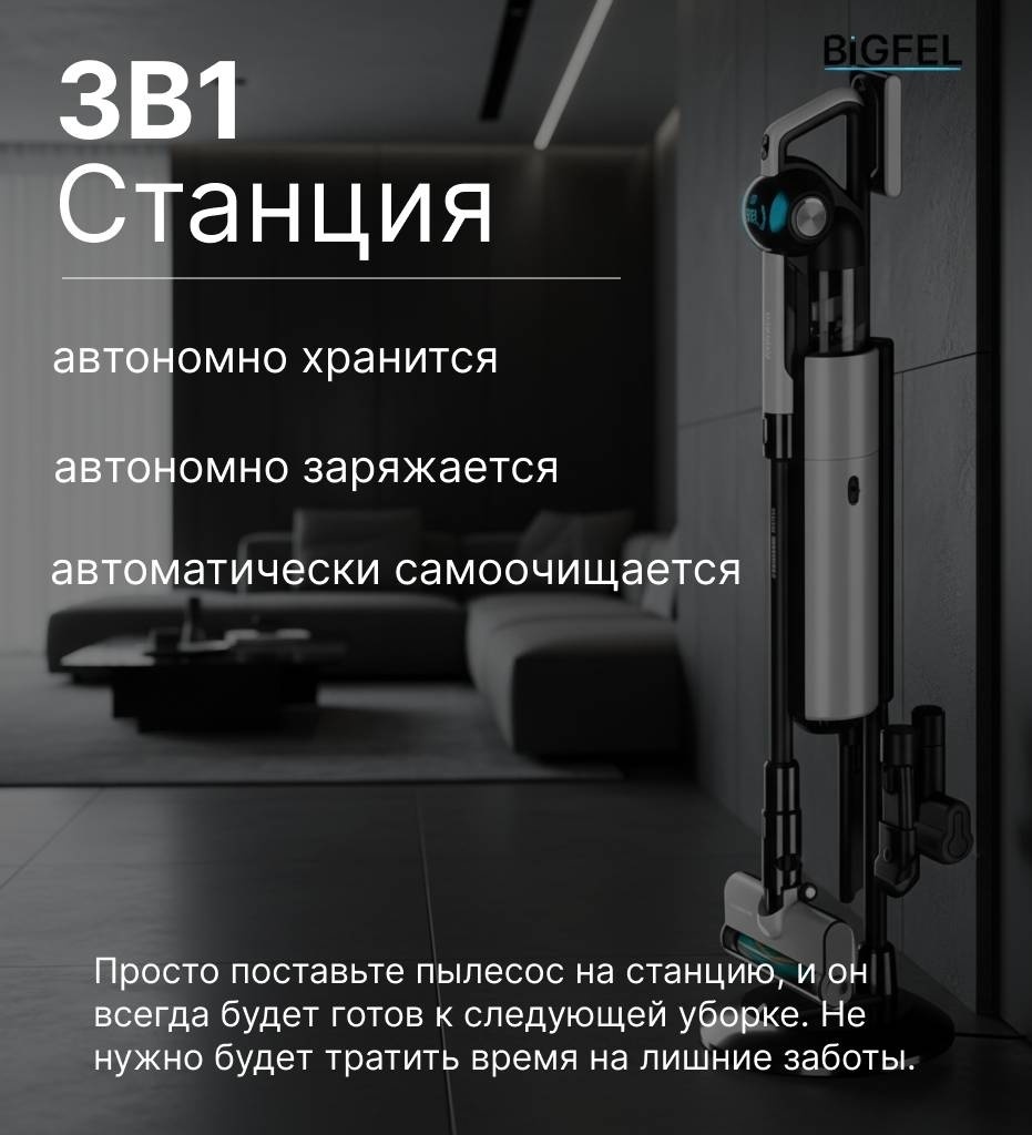 Пылесос BIGFEL SmartVac Pro черный