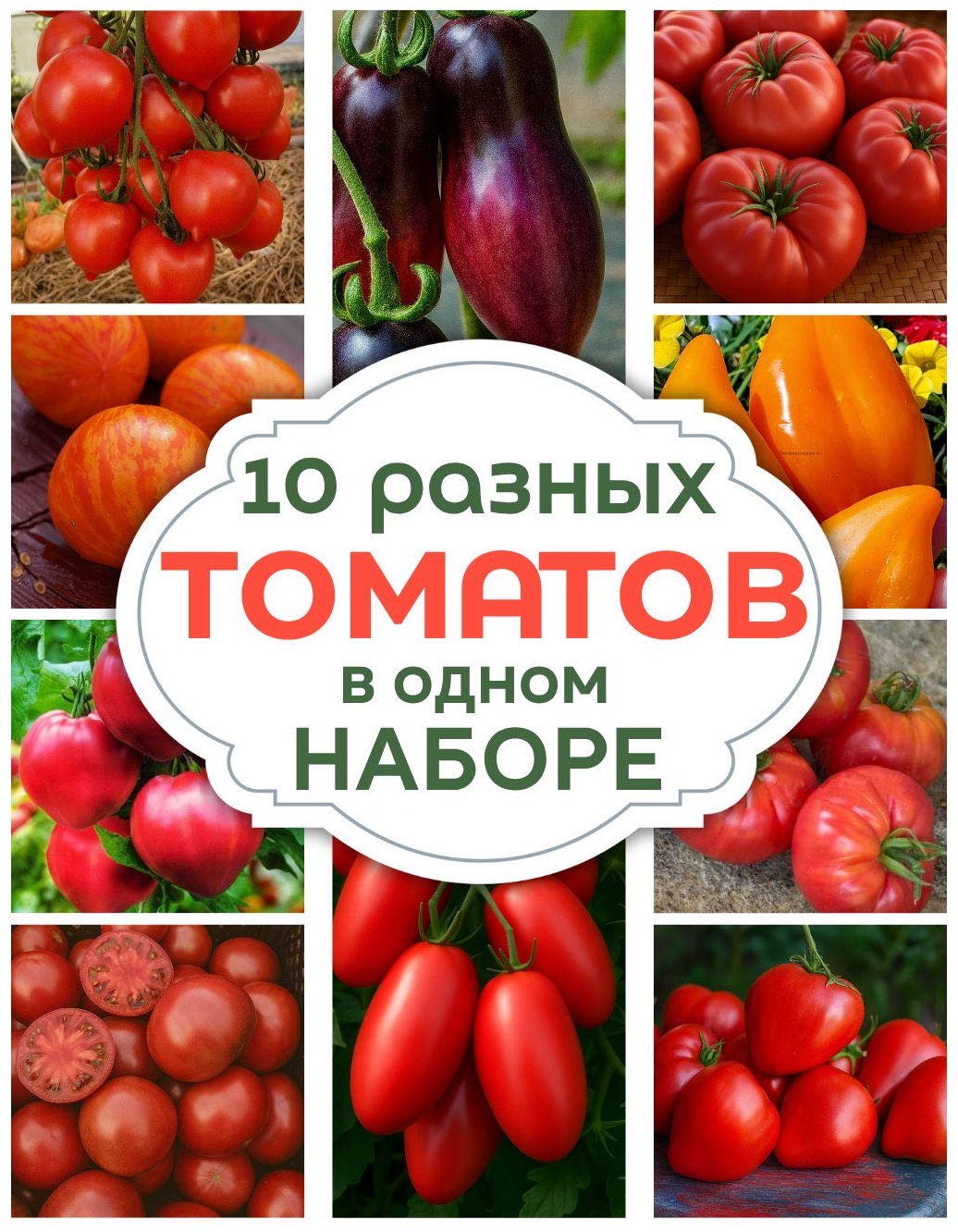 Mevsim томат Набор семян томатов из 10 сортов