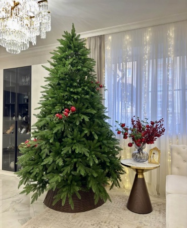 Новогодняя елка Conica Tree Nordmann.Co